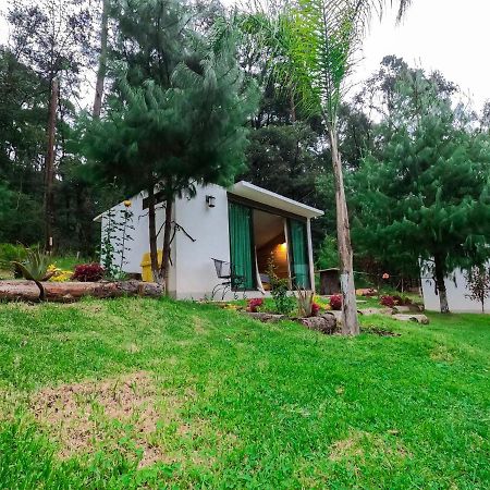 Romanticas Cabanas En Bosque Acaxochitlan Ngoại thất bức ảnh