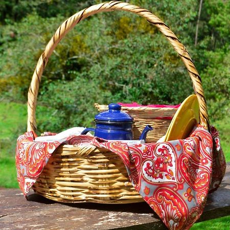 Romanticas Cabanas En Bosque Acaxochitlan Ngoại thất bức ảnh