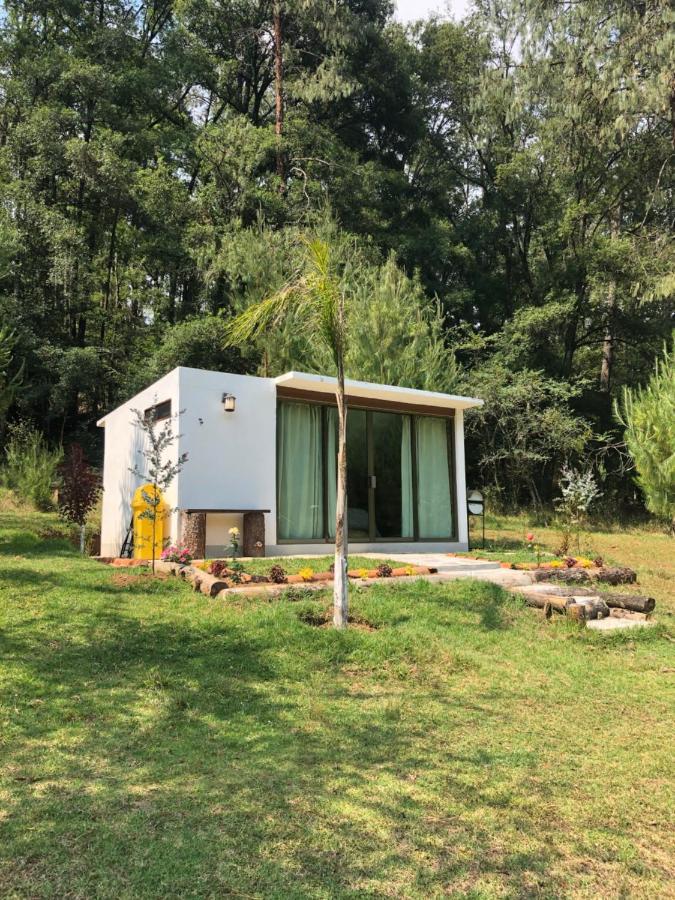 Romanticas Cabanas En Bosque Acaxochitlan Ngoại thất bức ảnh