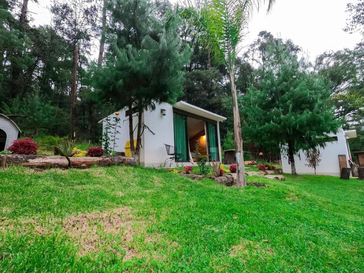 Romanticas Cabanas En Bosque Acaxochitlan Ngoại thất bức ảnh