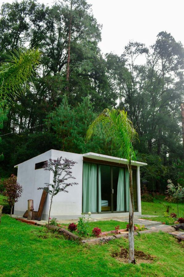 Romanticas Cabanas En Bosque Acaxochitlan Ngoại thất bức ảnh