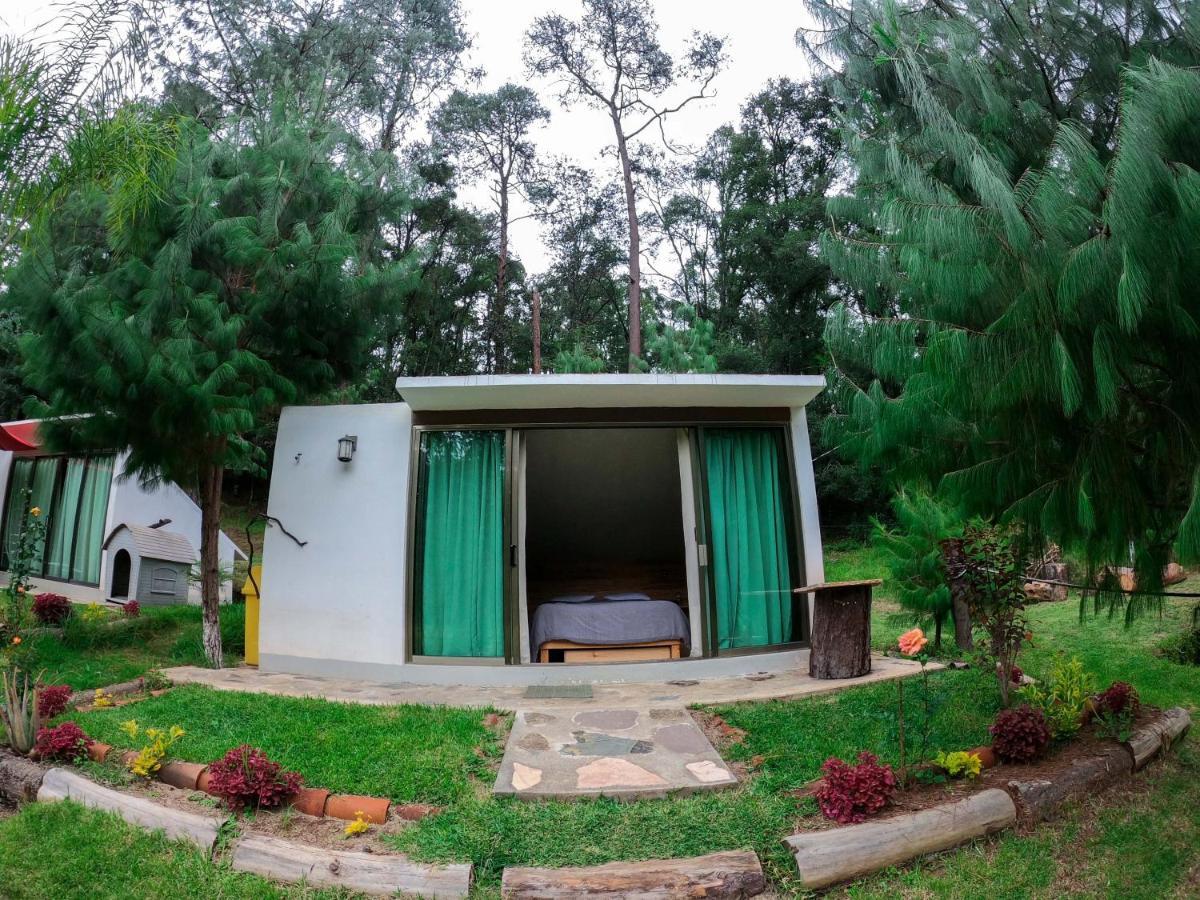 Romanticas Cabanas En Bosque Acaxochitlan Ngoại thất bức ảnh