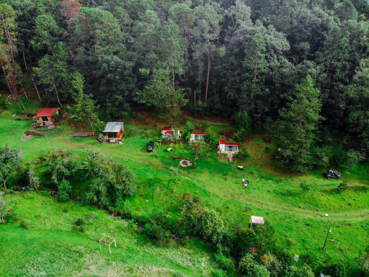 Romanticas Cabanas En Bosque Acaxochitlan Ngoại thất bức ảnh