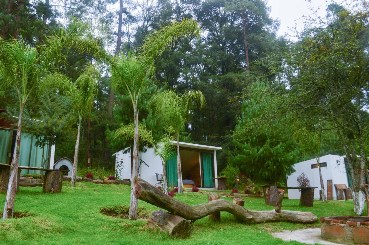 Romanticas Cabanas En Bosque Acaxochitlan Ngoại thất bức ảnh
