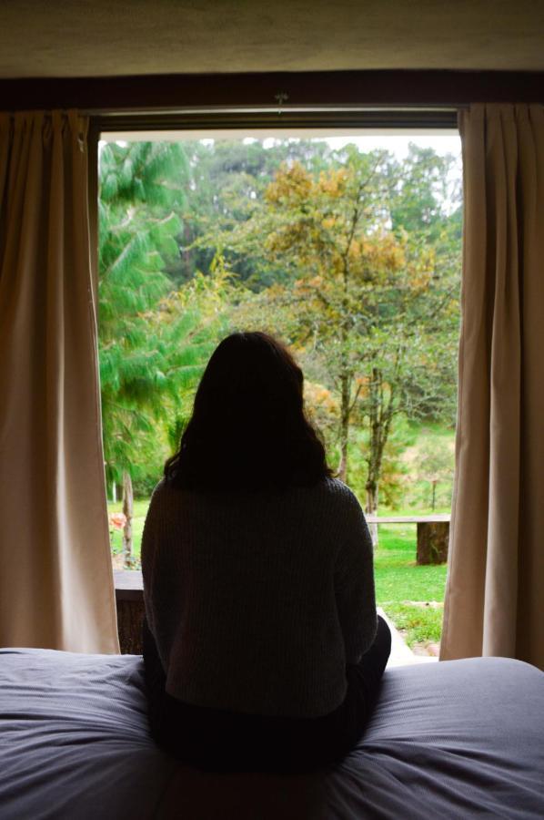 Romanticas Cabanas En Bosque Acaxochitlan Ngoại thất bức ảnh