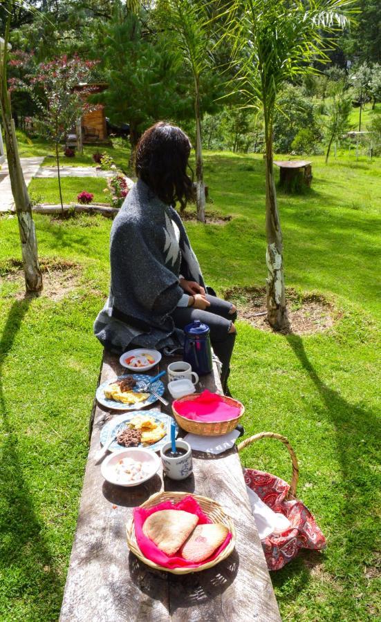 Romanticas Cabanas En Bosque Acaxochitlan Ngoại thất bức ảnh